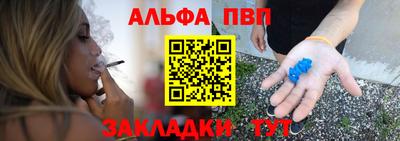крисы Моздок