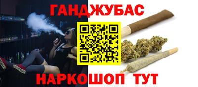 крисы Моздок