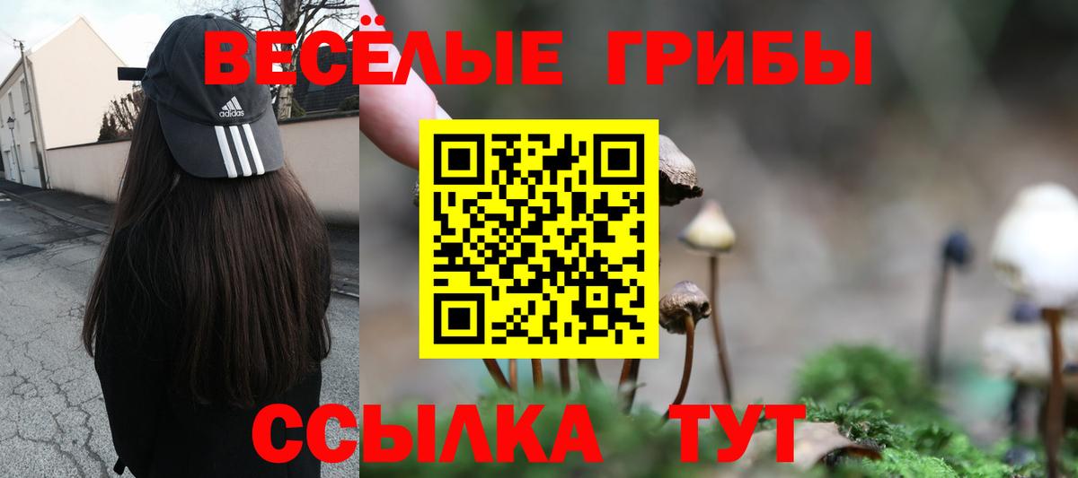 Чита  наркотики  Вход с VPN  Псилоцибиновые грибы мухоморы  Псилоцибиновые грибы GOLDEN TEACHER 